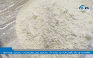 Dimethomorph 500g/kg