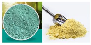 Mancozeb 64% + Cymoxanil 8%