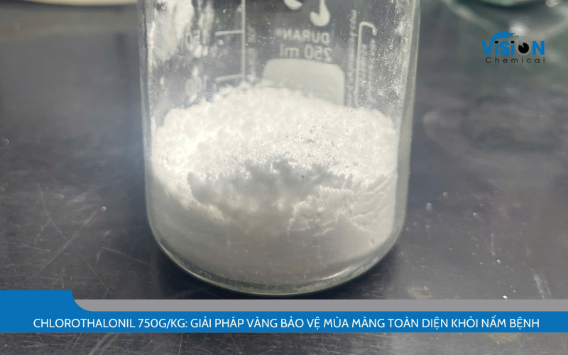 Chlorothalonil 750g/kg