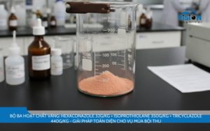 Hexaconazole 32g/kg + Isoprothiolane 350g/kg + Tricyclazole 440g/kg