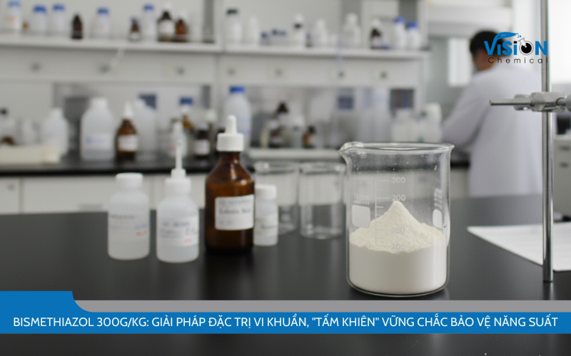 Bismethiazol 300g/kg