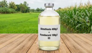 Dimethoate 400g/l + Fenobucarb 100g/l