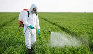 Dimethoate 400g/l + Fenobucarb 100g/l