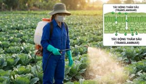  Emamectin Benzoate 55 g/kg