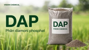 Ảnh bìa bài viết Phân DAP Vision Chemical (DAP 21-53) – Giàu Lân 53% Kích Rễ, Phân Hóa Mầm Hoa Mạnh